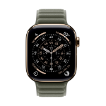 Apple 42mm Sage Grey Magnetic Link - S/M