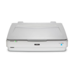 Epson Expression 13000XL Flatbed scanner 2400 x 4800 DPI A3 White