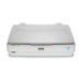Epson Expression 13000XL Flatbed scanner 2400 x 4800 DPI A3 White