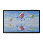 Bluebird T10, WWAN, Single-Band GNSS, GMS, 27.94 cm (11''), Projected Capacitive, 10 TP, USB-C, BT (5.0), Wi-Fi, eSIM, 4G, NFC, Android, black  Chert Nigeria