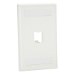 Panduit CFPL1WHY wall plate/switch cover White