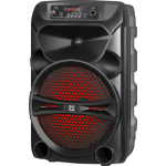 Defender G110BK Mono portable speaker Black 12 W