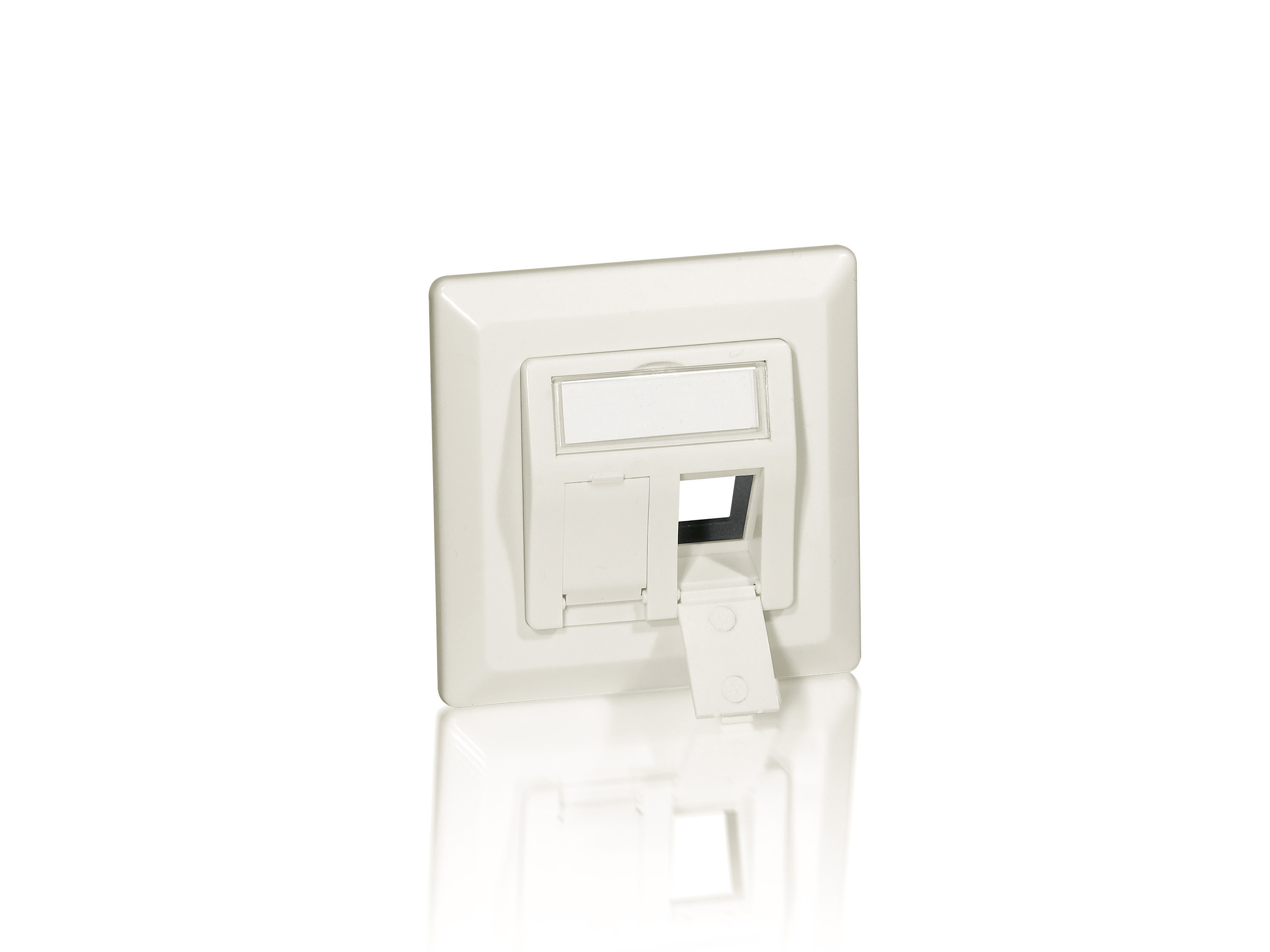Image of Equip 2-Port German Faceplate