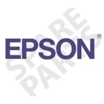 DPSB Epson Roll Paper Belt (x2)