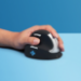 R-Go Tools HE Mouse R-Go HE ergonomic mouse, medium, left, wireless