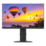 Planar Systems PZN2410 computer monitor 24" 1920 x 1080 pixels Full HD LCD Black