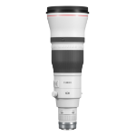 Canon RF 600mm F4L IS USM Lens