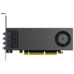 Ernitec VIKING-LUMA-A310FP graphics card