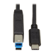 Tripp Lite U422-20N-G2 USB cable USB 3.2 Gen 2 (3.1 Gen 2) 19.7" (0.5 m) USB C USB B Black