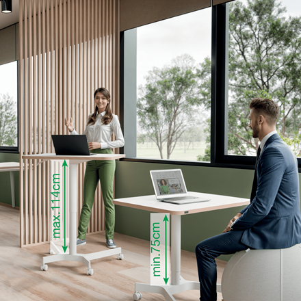 Leitz 65360001 standing desk White