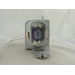 Diamond Lamps Lamp for OPTOMA W351:W316ST:X351:X316ST:EH341:DH1012:W350 Projector