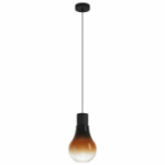 EGLO Chasely ceiling lighting Black, Brown, Transparent E27
