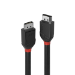 Lindy 36491 DisplayPort cable 1 m Black