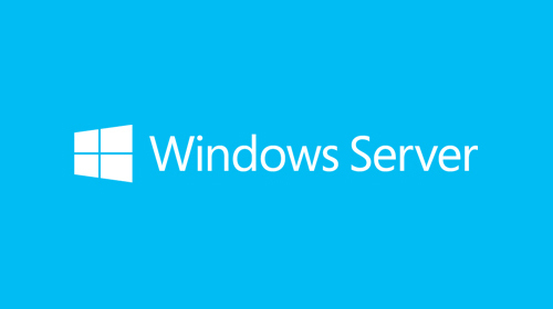 Microsoft Windows Server 2019 Operating Systems Software
