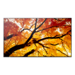 Sharp MultiSync PN-M752 189.2 cm (74.5") LED 550 cd/m² 4K Ultra HD Black 24/7