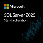 Microsoft SQL Server 2025 Standard 1 license(s) License