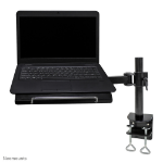 Neomounts by Newstar laptop desk mount