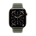 Apple MGDK4ZM/A smart wearable accessory Band Grey, Sage Polyester