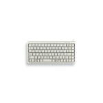 CHERRY G84-4100 keyboard USB AZERTY French Grey