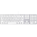 Apple MB110 keyboard USB White