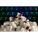 Glorious PC Gaming Race KAI-BROWN input device accessory Keyboard switches