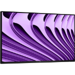 DELL Pro P 24 USB-C Hub Monitor - P2426HE