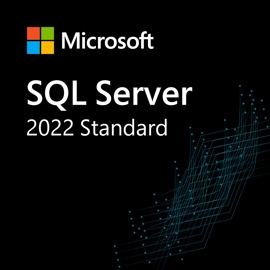 Microsoft SQL Server 2022 Client Access License (CAL) 1 license(s) License