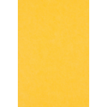 Middle Atlantic Focal Point TruTile TruTileTM Designs Acoustic Wall Tile in Pineapple, Double Arc