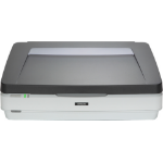 Epson EXPRESSION 12000XL PRO Flatbed scanner 2400 x 4800 DPI A3 Grey, White