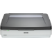 Epson EXPRESSION 12000XL PRO Flatbed scanner 2400 x 4800 DPI A3 Grey, White