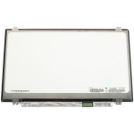CoreParts MSC140F30-156M notebook spare part Display