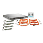 Hewlett Packard Enterprise StorageWorks 8Gb Simple SAN Connection Kit Managed Grey 1U