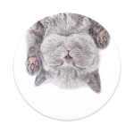 PopSockets 800947 holder Handle Grey