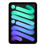 Apple iPad mini Wi-Fi 128GB - Space Grey