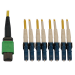 Tripp Lite N390X-05M-8L-AP 400G Singlemode 9/125 OS2 Switchable Fiber Optic Cable (12F MTP/MPO-APC to 4x Duplex LC/UPC F/M), LSZH, Yellow, 5 m (16.4 ft.)