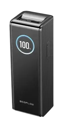 EcoFlow EF-RAPID25K140W-B-EU power bank 25000 mAh Black