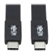 Tripp Lite U420-16N-G25AFL USB cable 15.7" (0.4 m) USB 3.2 Gen 2 (3.1 Gen 2) USB C Black