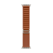 Apple MFTD4ZM/A smart wearable accessory Band Brown Titanium, Polyester, Spandex