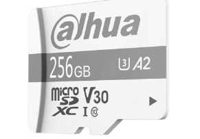 Dahua Technology P100 256 GB MicroSD UHS-I Class 10
