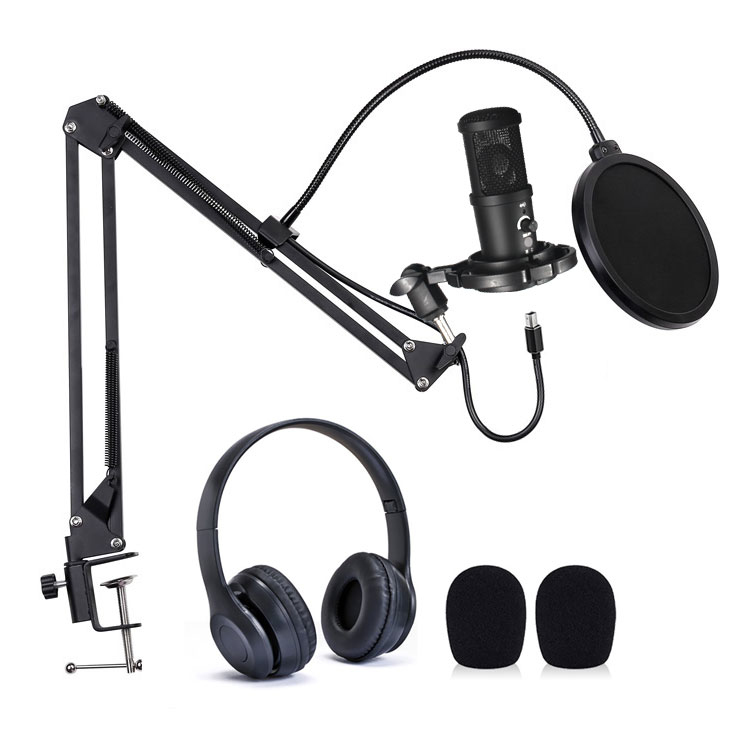 Image of Easypix 62021 microphone Black Studio microphone