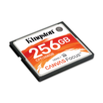 Kingston Technology Canvas Focus 256 GB CompactFlash