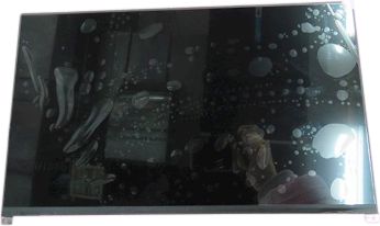 DELL 14-inch Full HD non-ouch LCD