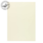 Blake Premium Business Paper Oyster Wove A4 297x210mm 120gsm (Pack 500) -