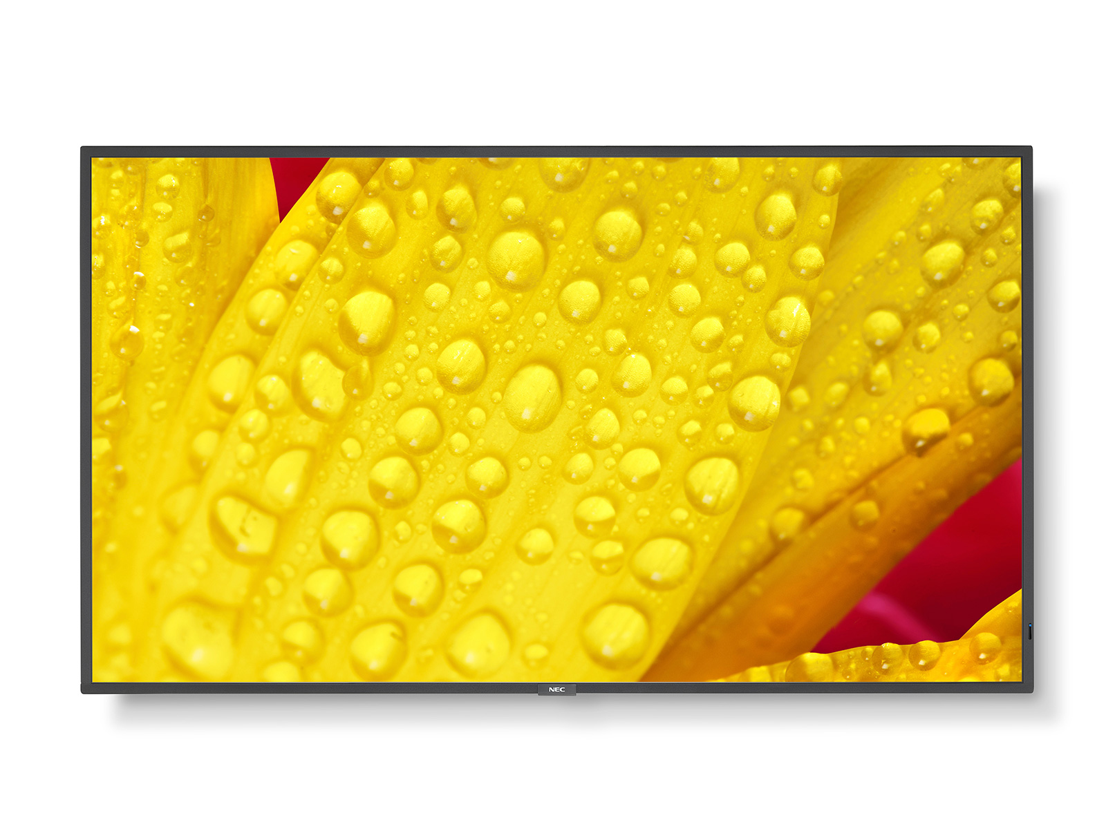 Image of NEC MultiSync ME551 Digital signage flat panel 139.7 cm (55") IPS...