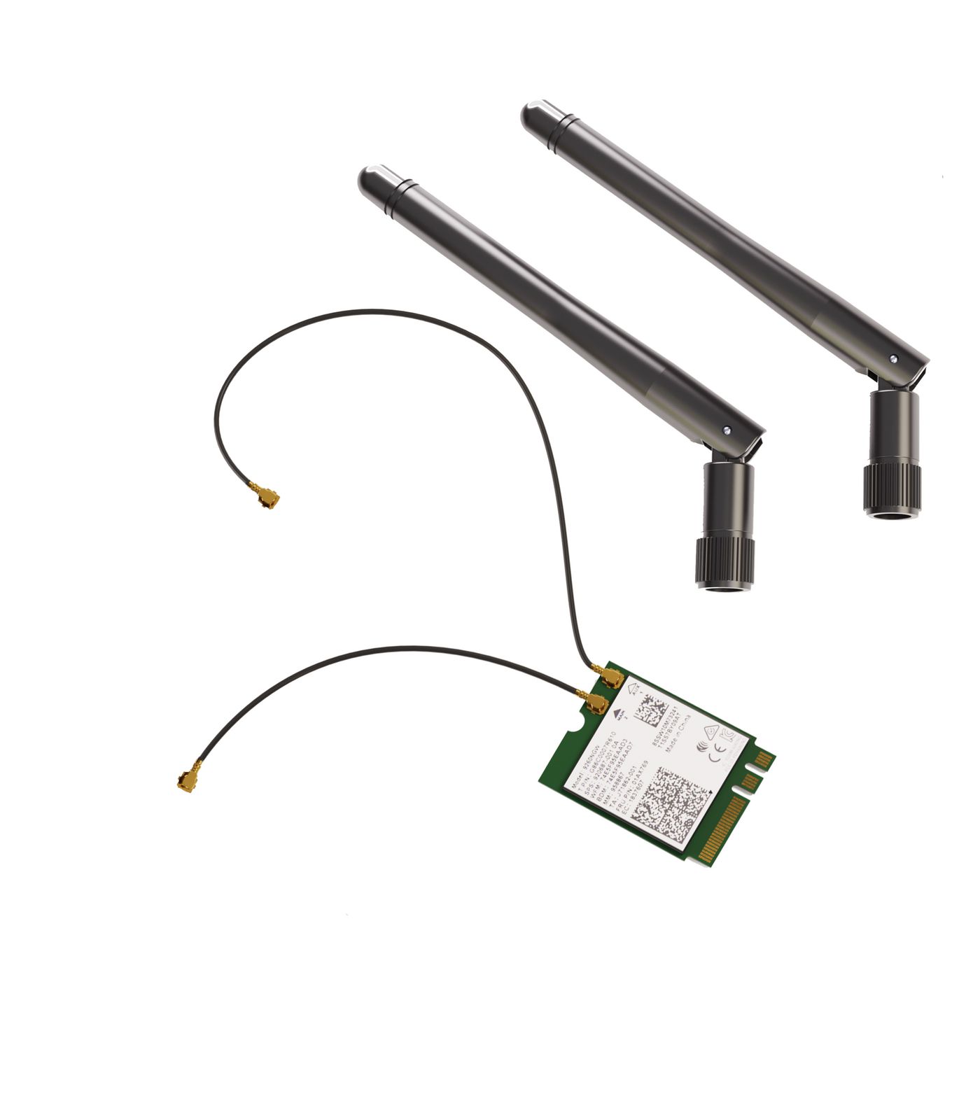 Brightsign WD105