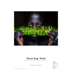 DPSB Hahnemuhle Photo Rag Pearl 320gsm A3+ (25 Sheets)