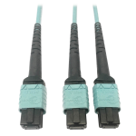 Tripp Lite N846D-01M-24BAQ 400G Multimode 50/125 OM4 Plenum Fiber Optic Cable, 24F MTP/MPO-PC to (x2) 12F MTP/MPO-PC (F/F), Aqua, 1 m