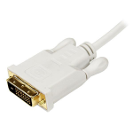 StarTech.com 1 m lange Mini DisplayPort-naar-DVI-adapterconverterkabel Mini DP-naar-DVI 1920x1200 wit