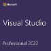 Microsoft Visual Studio Professional 2022 Ontwikkelingssoftware 1 licentie(s)