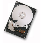 Western Digital Deskstar P7K500 interne harde schijf 320 GB 7200 RPM 16 MB 3.5" SATA II